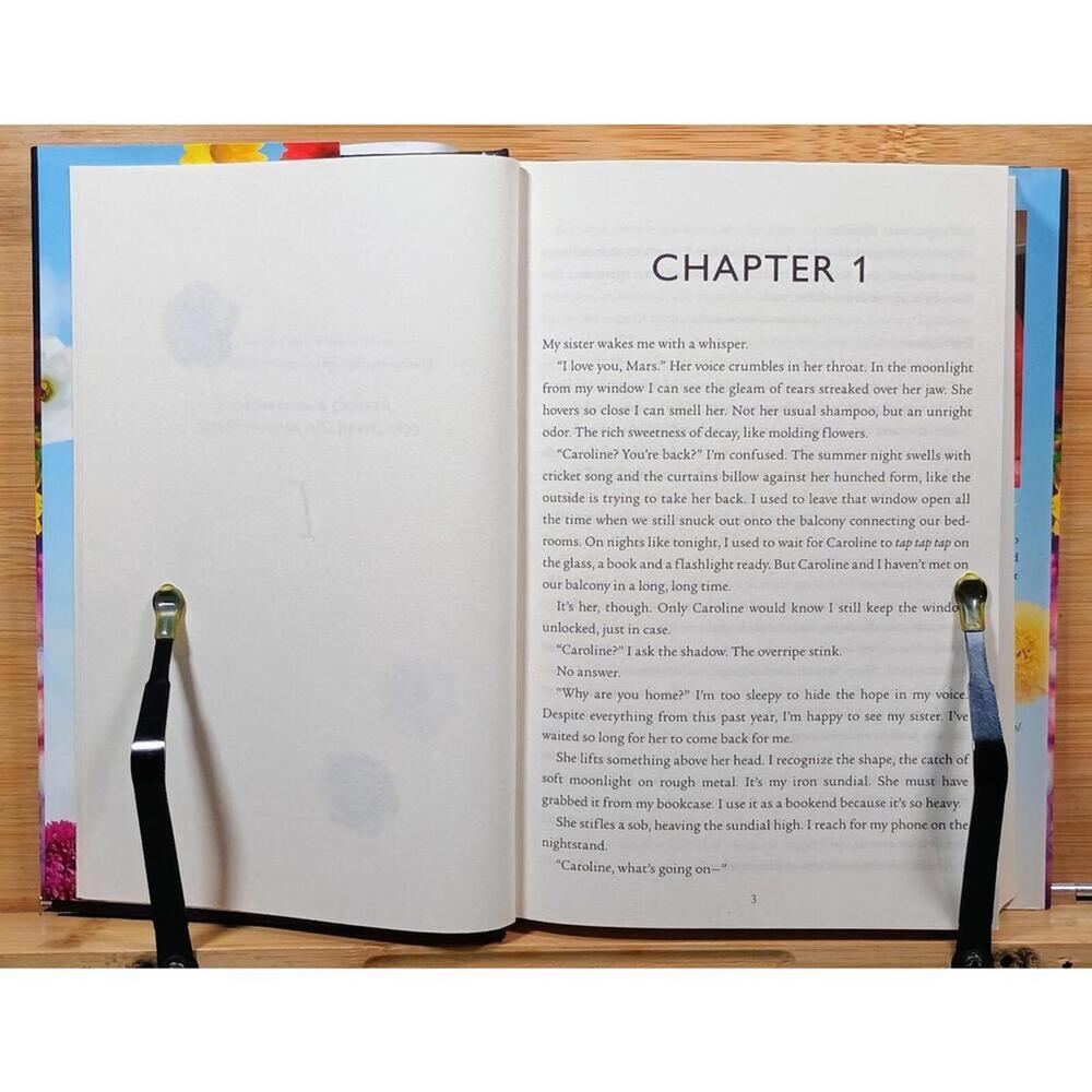The Honeys‎ by Ryan La Sala - Hardcover Novel - Picture 5 of 15